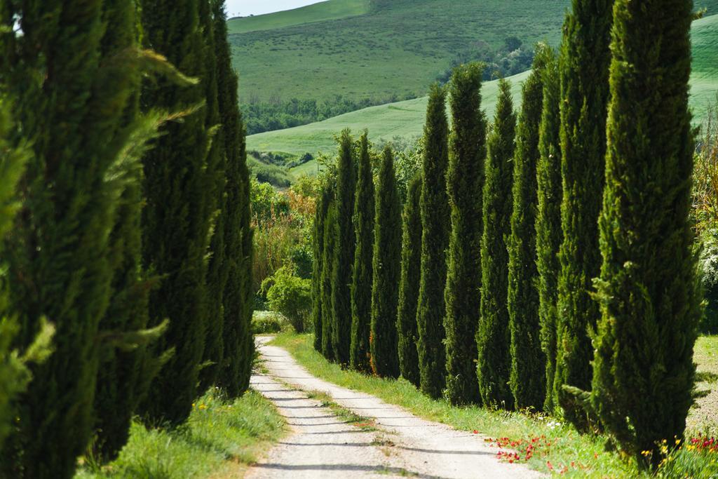 Agriturismo Podere Campaini Volterra Exterior photo